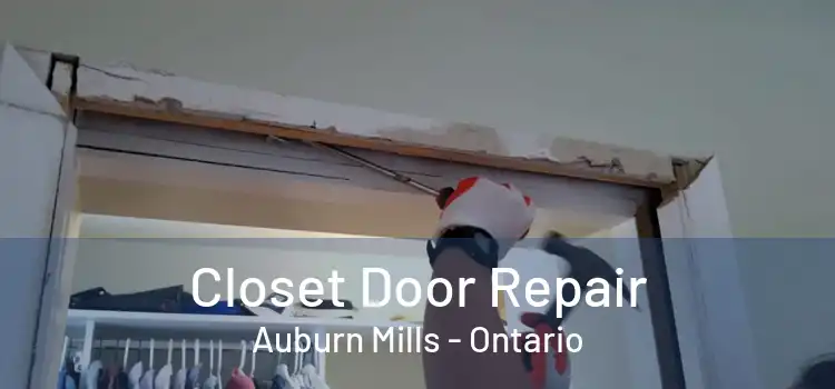 Closet Door Repair Auburn Mills - Ontario