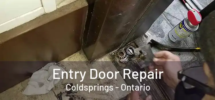 Entry Door Repair Coldsprings - Ontario