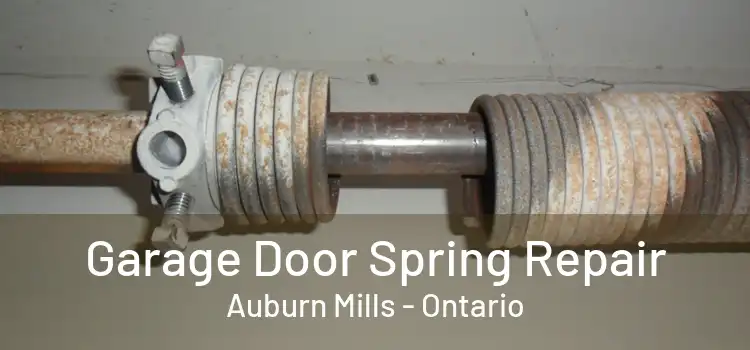 Garage Door Spring Repair Auburn Mills - Ontario