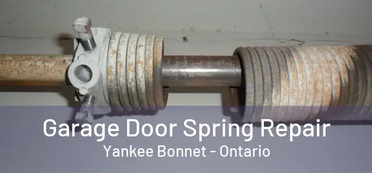 Garage Door Spring Repair Yankee Bonnet - Ontario